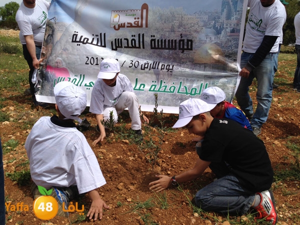 ludandyaffazaitoon (20).JPG